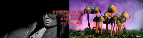 каннабис Новозыбков