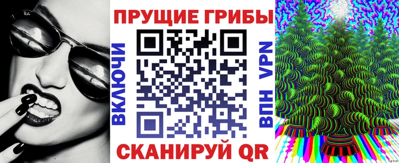 OMG как зайти  сайты даркнета состав  Галлюциногенные грибы мухоморы  Власиха 